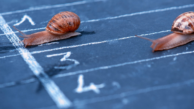 Image PANTESAN, KECEPATAN INTERNET INDONESIA TERNYATA PALING LAMA DI ASIA TENGGARA