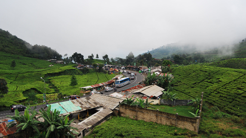 Image RATUSAN WARUNG TEMPAT NONGKRONG ANAK MUDA DI PUNCAK MAU DIRELOKASI